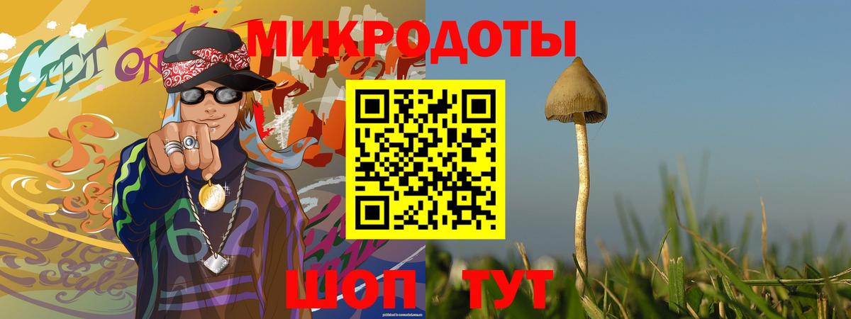 Галлюциногенные грибы Psilocybe  Псилоцибиновые грибы прущие грибы  купить наркотики сайты  Вход с VPN  Кириши 