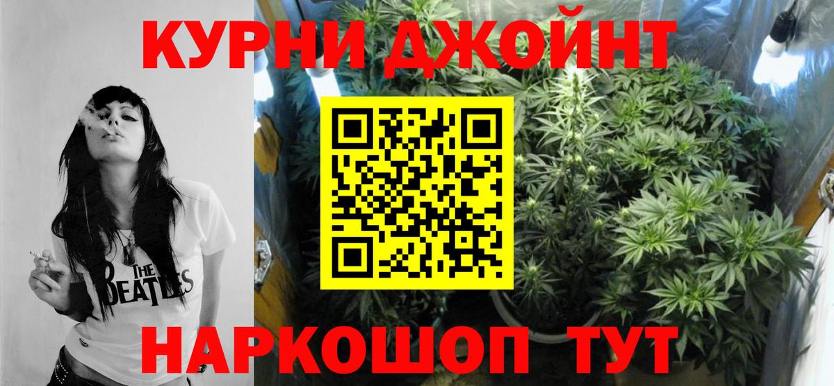 Кириши  Бошки марихуана конопля  Шишки марихуана VHQ  Бошки марихуана план  Бошки марихуана White Widow  Вход с VPN 
